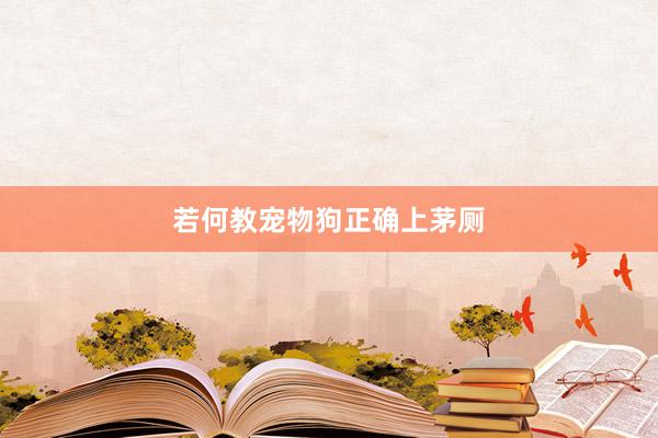 若何教宠物狗正确上茅厕